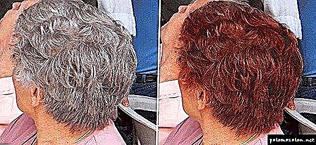 Për të kuptuar specifikat e teknologjisë së ngjyrosjes së flokëve gri, unë dua t'ju them se si humbet pigmenti