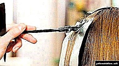 Como teñir o pelo sen dano? Descrición xeral de métodos e recomendacións