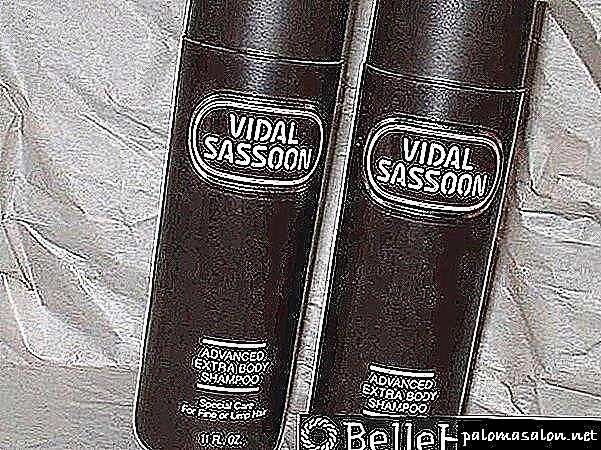Legendary - bob - and - pixie: Vidal Sassoon eta bere ilea apaintzeko
