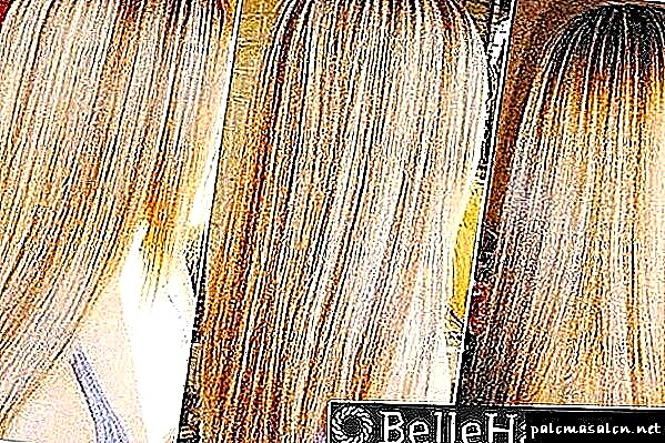 Gjithçka në lidhje me theksimin, ngjyrosjen dhe tonifikimin: një foto e flokëve pas procedurave