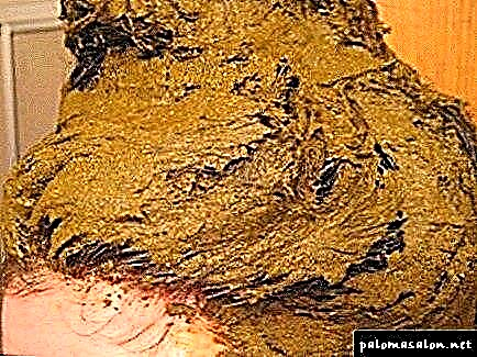 Pewarna rambut henna: fitur aplikasi sareng aturan pembiayaan pikeun kéngingkeun warna anu béda