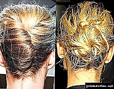 Elegant hairstyle french braid hauv 6 kev xaiv