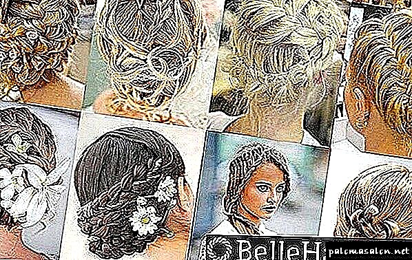 Свадбени фризури за долга коса: 15 опции за убави фризури и стајлинг за невестата со фотографија