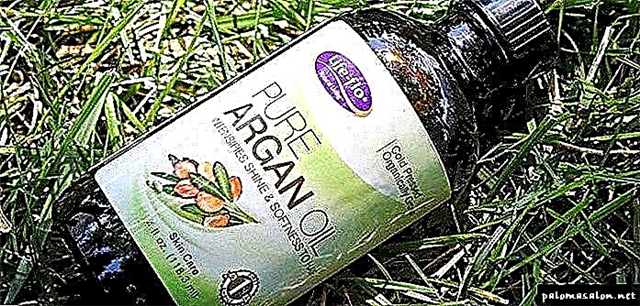 Magic African Argan oil - bọtini si ẹwa ti irun ori rẹ!