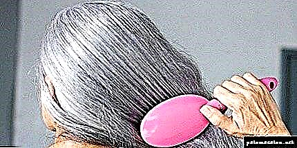 Werna rambut basma: rahasia lan nuansa prosedur kasebut