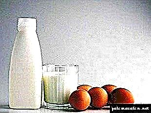Kiselo-mliječni proizvodi za zdravlje kose