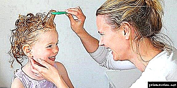 Como identificar e eliminar as cortes mortas do pelo na casa?