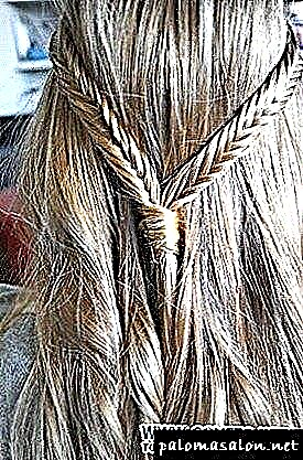 Quae perinde in tempore capillos braids