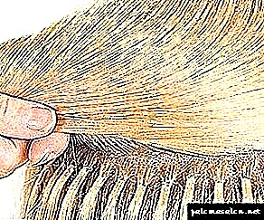 Популарна постапка за проширување на косата: пред и по фотографиите, предностите и недостатоците на методот, карактеристиките на грижата за екстензии