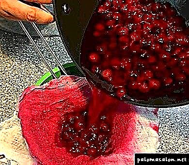 Ang cranberry juice mula sa kuto: kung kailan at paano mag-apply