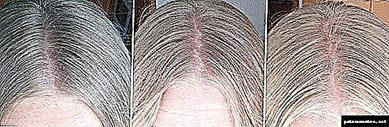 Wangsulan rambut rambut: ngarobih gambar parobahan